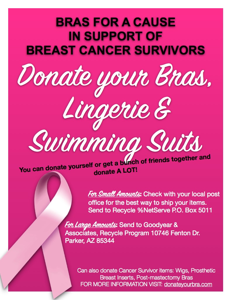 donation event for Bras for a Cause